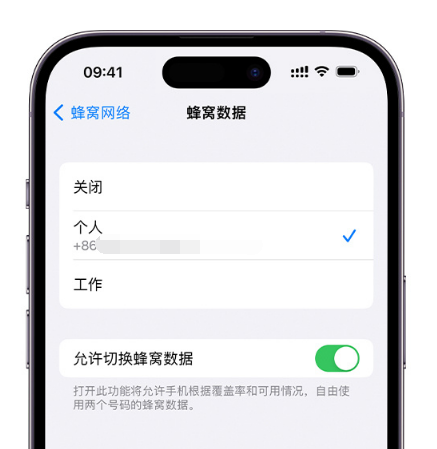 陆河苹果维修服务分享如何在iPhone上使用双卡 